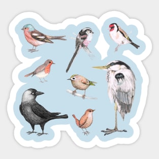 Bird collection Sticker